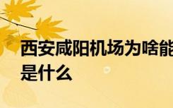 西安咸阳机场为啥能发现扎堆古墓 背后原因是什么