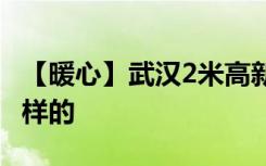 【暖心】武汉2米高新生一人睡两张床 这是怎样的