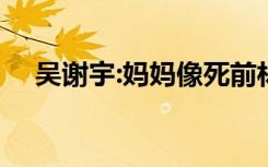 吴谢宇:妈妈像死前林黛玉 他是什么心理