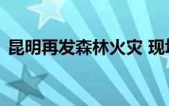 昆明再发森林火灾 现场啥情况有人员伤亡吗