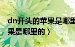 dn开头的苹果是哪里的求回答（dn开头的苹果是哪里的）