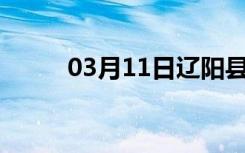 03月11日辽阳县24小时天气预报