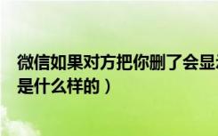 微信如果对方把你删了会显示什么（微信如果对方把你删了是什么样的）