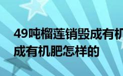 49吨榴莲销毁成有机肥啥情况49吨榴莲销毁成有机肥怎样的