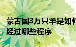 蒙古国3万只羊是如何体检的 羊肉到餐桌上要经过哪些程序