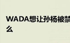 WADA想让孙杨被禁赛2至8年 这将意味着什么