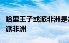 哈里王子或派非洲是怎样的为什么哈里王子或派非洲