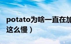 potato为啥一直在加载（potato为什么加载这么慢）