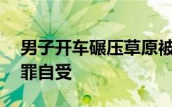 男子开车碾压草原被罚把草种回去 简直是自罪自受