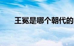 王冕是哪个朝代的 他有什么历史成就