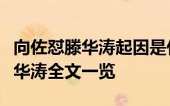 向佐怼滕华涛起因是什么为什么怼他向佐怼滕华涛全文一览