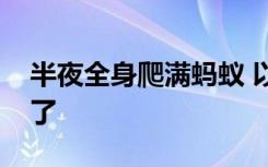 半夜全身爬满蚂蚁 以后住宾馆都有心理阴影了