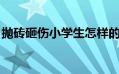 抛砖砸伤小学生怎样的涉事者将受到什么处罚