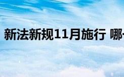 新法新规11月施行 哪一项对你生活影响最大