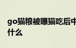 go猫粮被曝猫吃后中毒甚至死亡 到底发生了什么