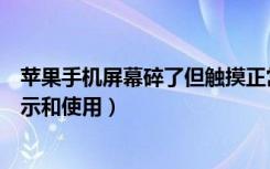 苹果手机屏幕碎了但触摸正常（苹果屏幕碎了但是能正常显示和使用）