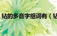 钻的多音字组词有（钻的多音字组词有哪些）