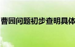 曹园问题初步查明具体情况是什么事情经过是