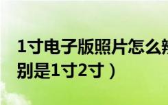 1寸电子版照片怎么辨别（电子版照片怎么辨别是1寸2寸）