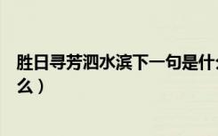 胜日寻芳泗水滨下一句是什么（胜日寻芳泗水滨的意思是什么）