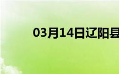 03月14日辽阳县24小时天气预报