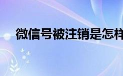 微信号被注销是怎样的（微信号被注销）