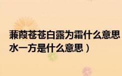 蒹葭苍苍白露为霜什么意思（蒹葭苍苍白露为霜所谓伊人在水一方是什么意思）