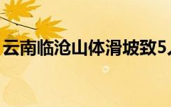 云南临沧山体滑坡致5人失联 救援工作进行中