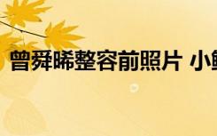 曾舜晞整容前照片 小鲜肉曾舜晞长得像吴磊