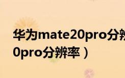 华为mate20pro分辨率是哪个（华为mate20pro分辨率）