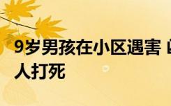 9岁男孩在小区遇害 凶手抓到了吗疑遭精神病人打死