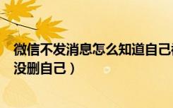 微信不发消息怎么知道自己被删（怎么不发消息知道微信删没删自己）