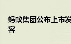 蚂蚁集团公布上市发行方案 方案都有哪些内容