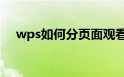 wps如何分页面观看（wps怎么分页面）