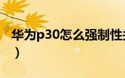 华为p30怎么强制性关机（华为p30强制关机）