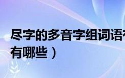 尽字的多音字组词语有哪些（尽的多音字组词有哪些）