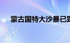 蒙古国特大沙暴已致6死 81名牧民失踪