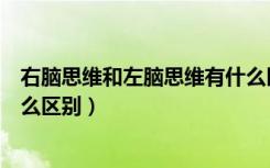 右脑思维和左脑思维有什么区别（左脑思维和右脑思维有什么区别）