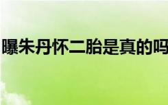 曝朱丹怀二胎是真的吗消息属实吗具体啥情况