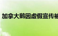 加拿大鹅因虚假宣传被罚45万 具体是啥情况