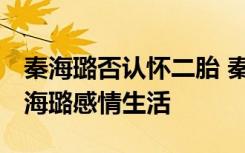 秦海璐否认怀二胎 秦海璐老公叫什么名字 秦海璐感情生活