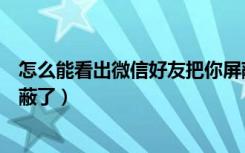 怎么能看出微信好友把你屏蔽了（怎样知道微信好友把你屏蔽了）