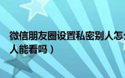 微信朋友圈设置私密别人怎么打开（微信朋友圈私密权限别人能看吗）