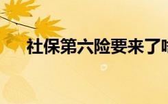 社保第六险要来了啥情况第六险是什么