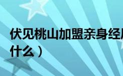 伏见桃山加盟亲身经历（伏见桃山加盟条件是什么）