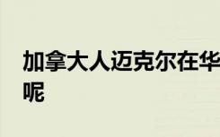 加拿大人迈克尔在华获刑11年 违反什么法律呢