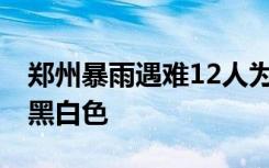 郑州暴雨遇难12人为地铁受困人员 官网已变黑白色