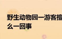 野生动物园一游客擅自下车冲向虎群 具体怎么一回事