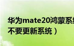 华为mate20鸿蒙系统更新（华为mate20要不要更新系统）