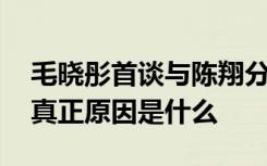 毛晓彤首谈与陈翔分手原因 毛晓彤陈翔分手真正原因是什么